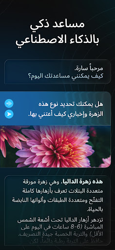 Nova - روبوت دردشة AI screenshot 2