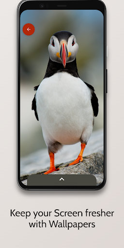 AG Wallpaper - 4K Wallpapers