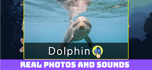 Sea Animals: game for learning Screen 2