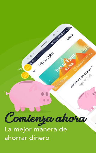 Vista previa de la aplicación