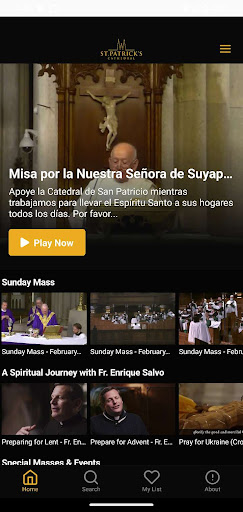 Android application St. Patricks Cathedral NYC screenshort