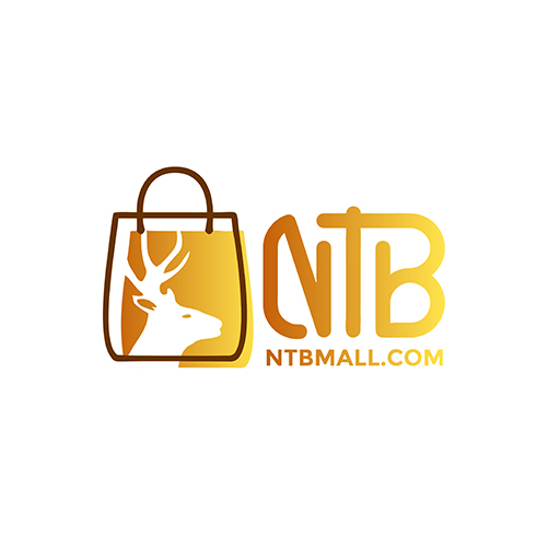 NTB Mall logo