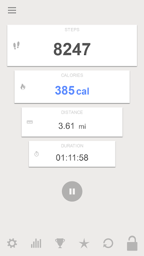 Screenshot of Step & Calorie Counter