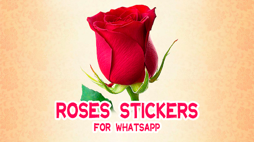 Roses Stickers for WhatsApp