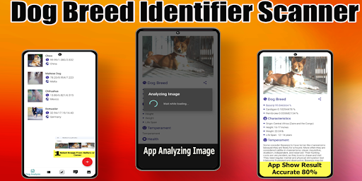 Dog Breed Smart Identifier