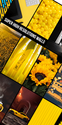 Yellow Wallpapers in HD, 4K Screen 3