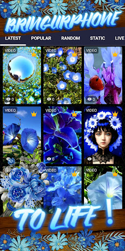 blue flower wallpaper Screen 2