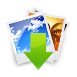 Image downloader icon