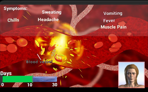 The Life Cycle of Malaria Screen 3
