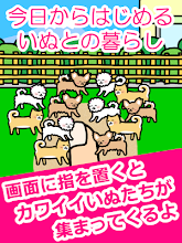 いぬとあそぶ 癒しのわんこ育成ゲーム Google Play のアプリ