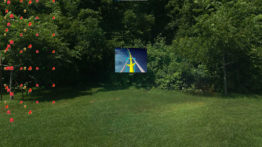 Liberate the Animation