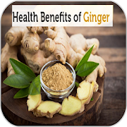 Top 37 Health & Fitness Apps Like Healthy Benefits Of Ginger - Best Alternatives