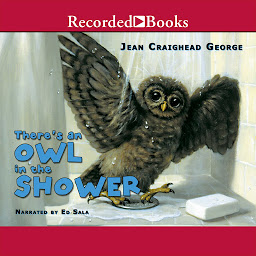 Symbolbild für There's an Owl in the Shower