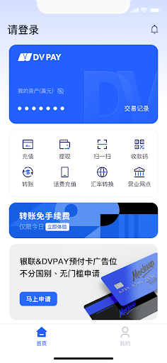 DV PAY Screen 2