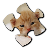Kitten Jigsaw Puzzles icon