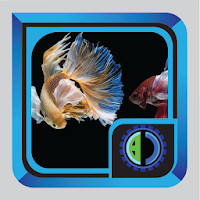 Success of Ornamental Fish Cul