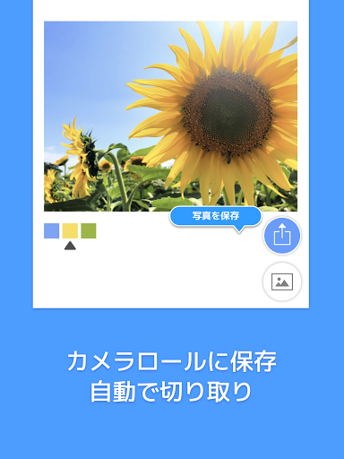 21 Picolor 色を抽出できる写真加工アプリ Pc Android App Download Latest