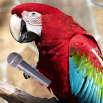 Cover Image of Télécharger Как научить попугая говорить  APK