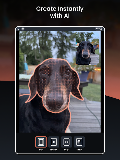 Screenshot of Picadelic Photo Effects Editor