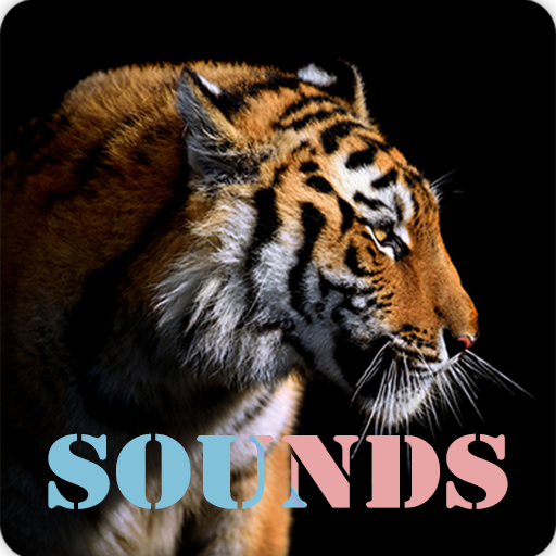 Tiger Roar Sound Ringtones
