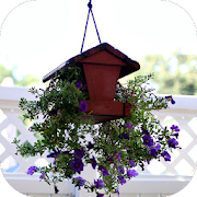 Hanging Flower Pots ideas