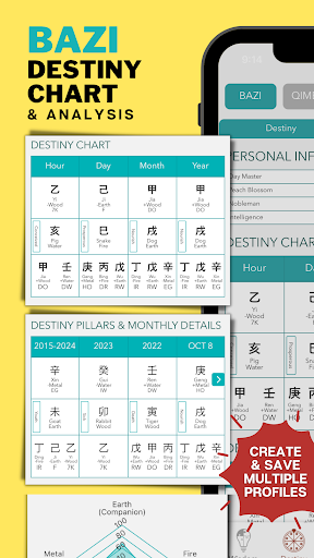 Intuchi Power App Screen 3