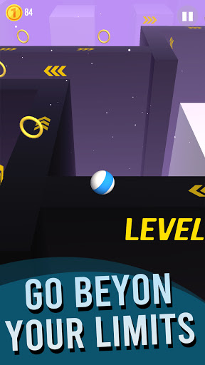 Roller Sky - Balance Ball