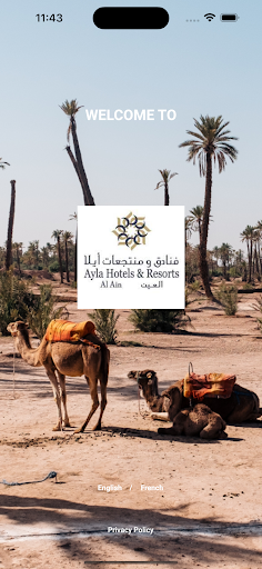 Android application Ayla Hotels screenshort