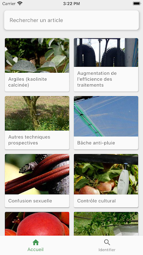 Eco-Fruits Screen 2