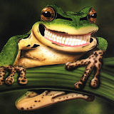 Funny Frogs Jigsaw Puzzles icon