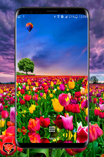 Android application Flower Fields Live Wallpaper screenshort
