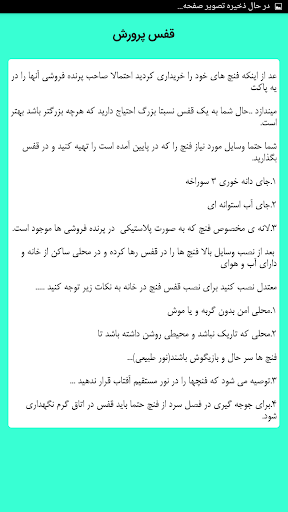 نگهداری و پرورش فنچ