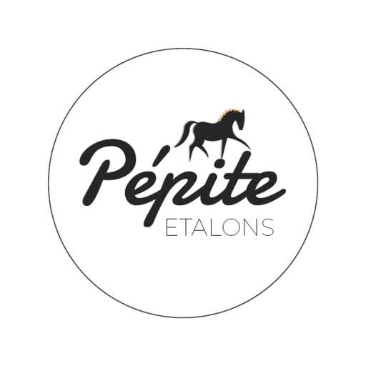 Pepite Etalons logo