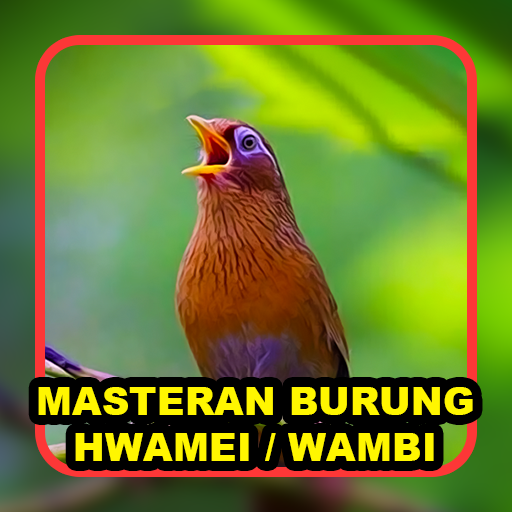 Masteran Burung Hwamei / Wambi Screen 2