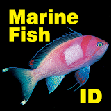 Fish ID Great Barrier Reef icon