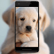 Dog Images - Androidアプリ