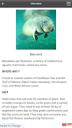 Museum Buddy ITALY - Screenshot Image