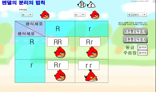 멘델의 분리의 법칙 가상실험 Screen 2