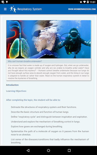 Respiratory System Screen 3