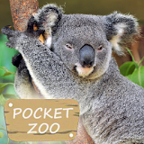 Pocket Zoo icon