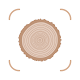 Picture Wood: Wood Identifier Download on Windows