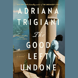 Icon image The Good Left Undone: A Novel