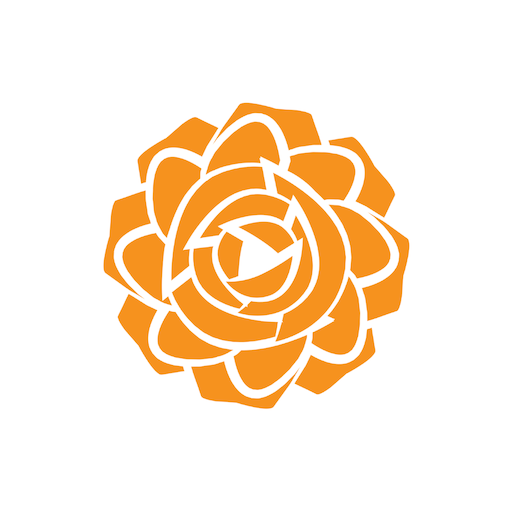 Dutch Rose logo