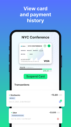 Mesh Payments Screen 3