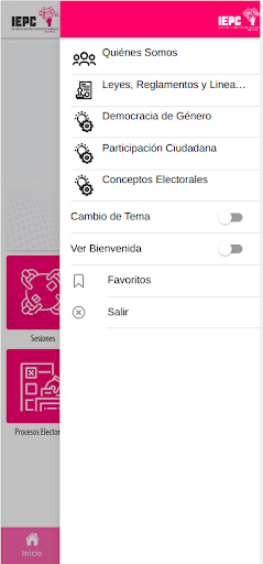 IEPC Chiapas App Screen 2