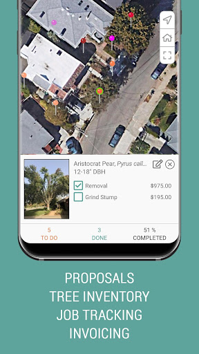 treezi Screen 3