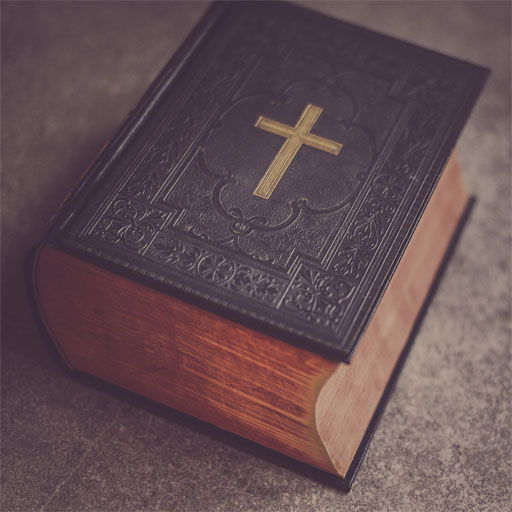 Bible (new testament) (audio) logo