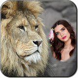 Lion Photo Frame icon