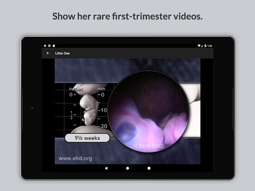 Little One Pregnancy Guide Screen 2