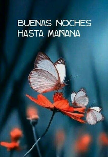 Buenas Noches GIF - v3.8